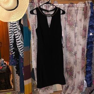 NWT Bisou Bisou Dress